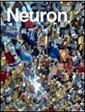 neuron-2015-may