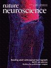 cover-nature-neuroscience-september-2010