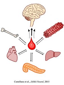 regenerative aged tissues factors blood