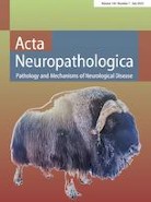 Acta_Neuropath_Muskox_Cover