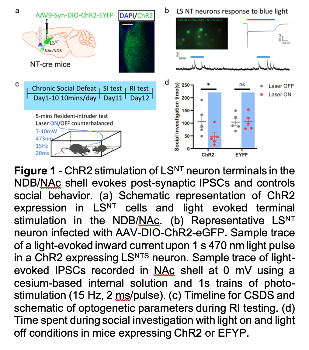 https://labs.neuroscience.mssm.edu/wp-content/uploads/2016/10/fig-1.png