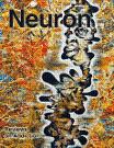 cover-neuron-feb-2011